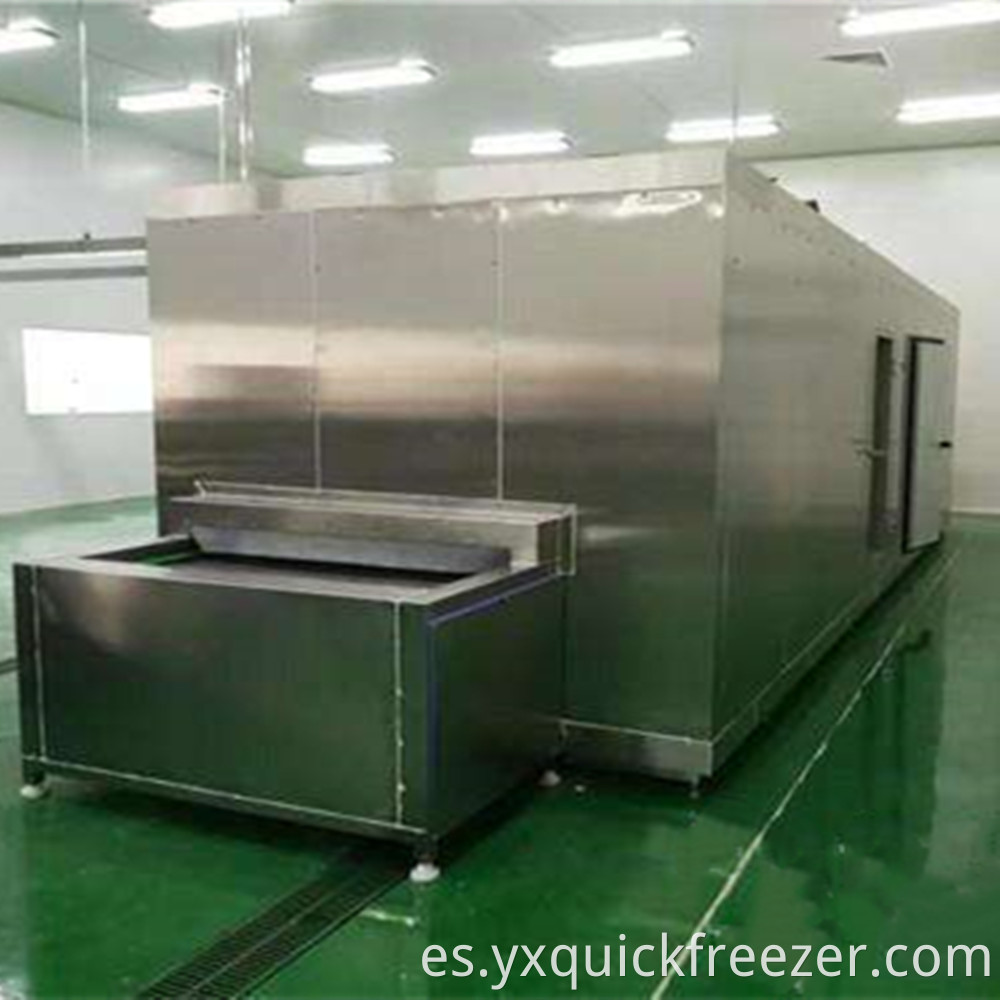 Mesh Best Tunnel Freezer